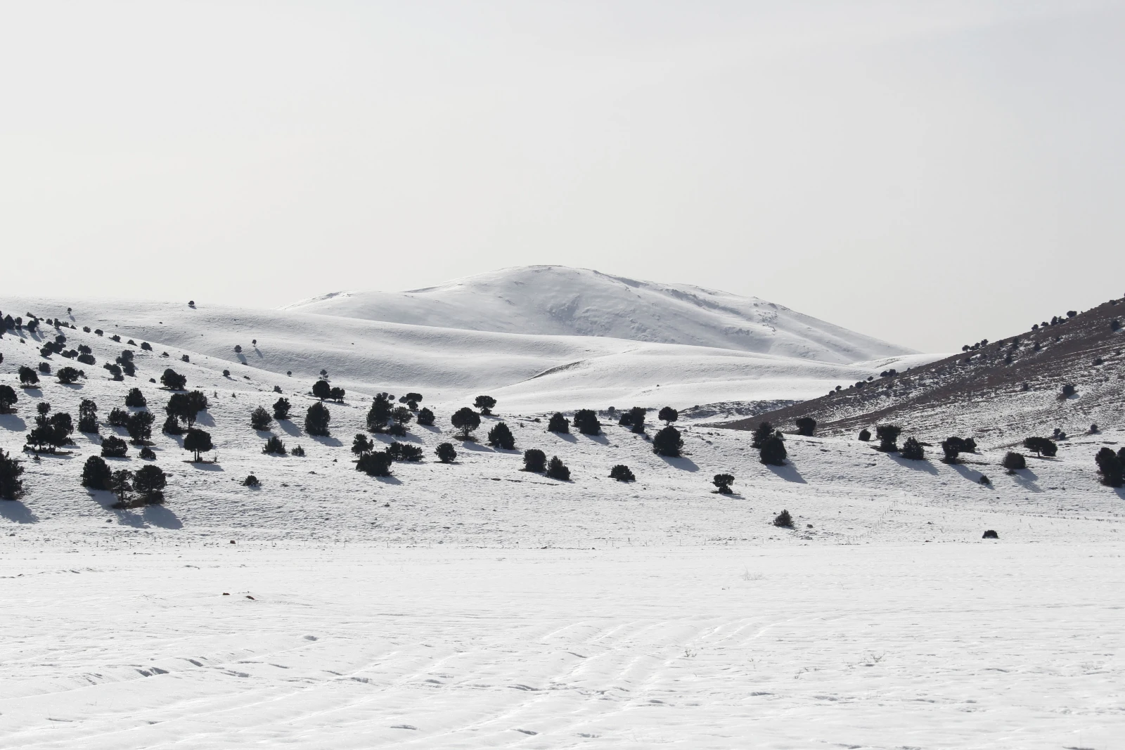 Ski- & winterspullen