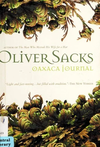 Oaxaca Journal