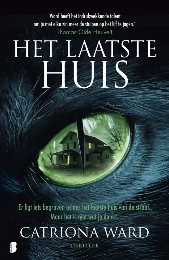 The Last House on Needless Street