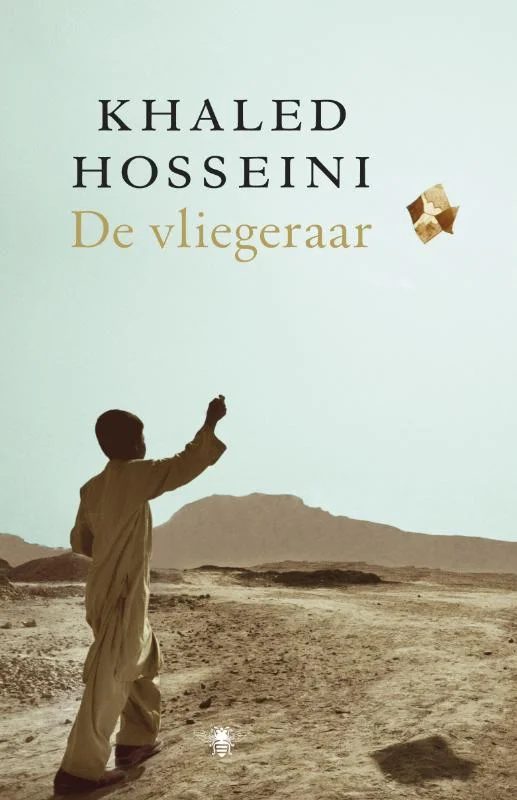 De vliegeraar