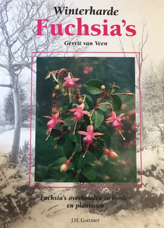 Winterharde fuchsia's