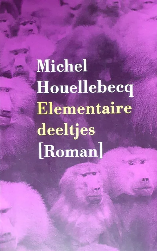 Elementaire deeltjes