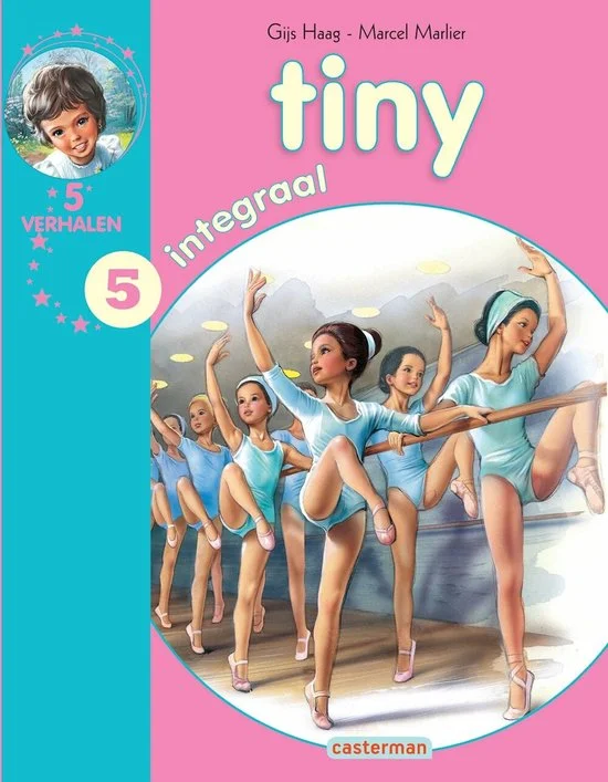 Tiny integraal