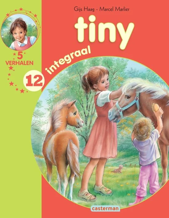 Tiny integraal