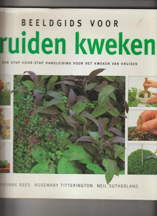 Beeldgids voor kruiden kweken