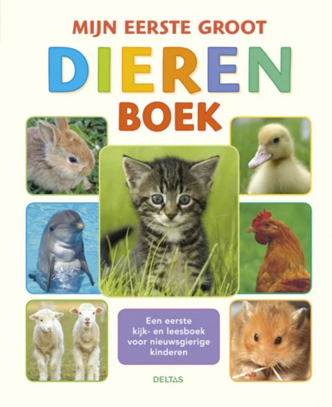 The hamster , Rabbit hopping , Lovely kitten , Cock singing , Sheep and sweaters , Ducklings grow up , Dolphins