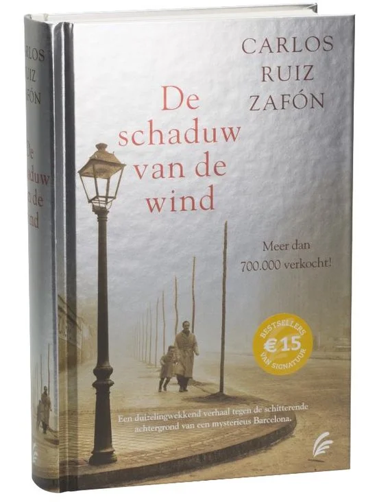 De schaduw van de wind