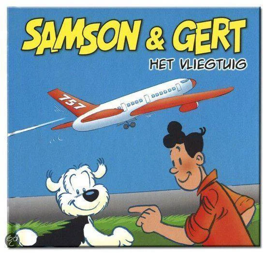 Het vliegtuig