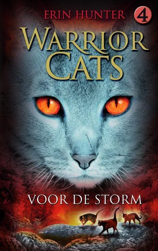Voor de storm