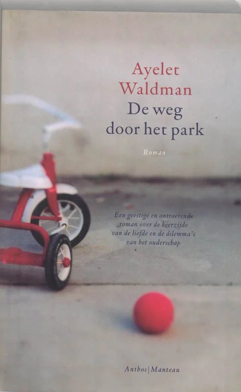 De weg door het park