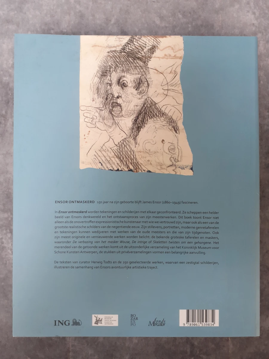 Boek: Ensor ontmaskerd - foto 6