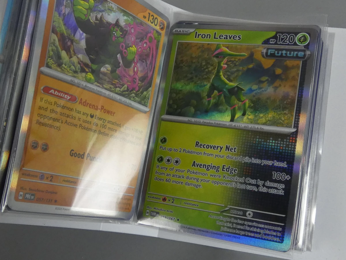 Pokémon Paradox Verzamelalbum met Kaarten