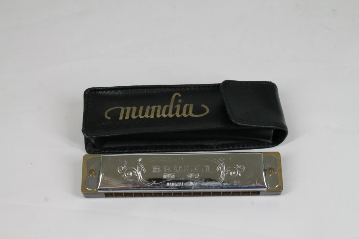 Vintage diatonische tremolomondharmonica