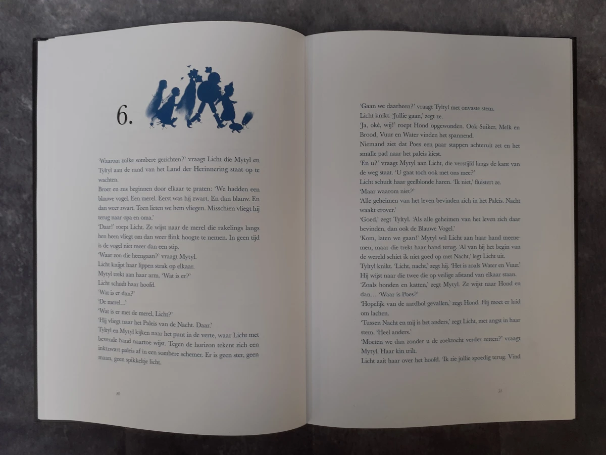 Boek: De Blauwe Vogel - foto 4