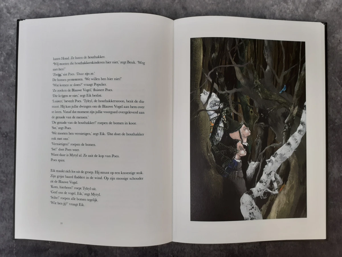 Boek: De Blauwe Vogel - foto 5