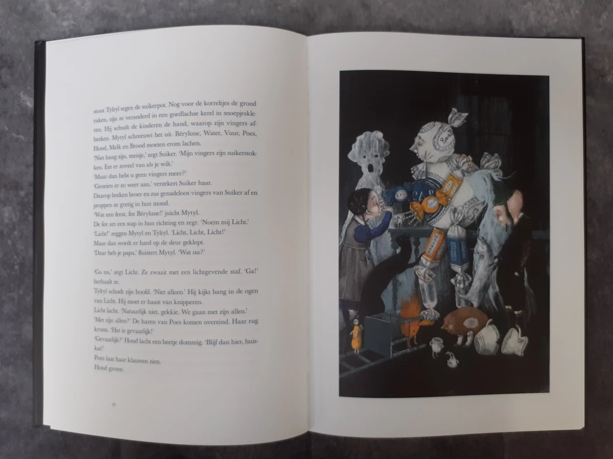 Boek: De Blauwe Vogel - foto 3