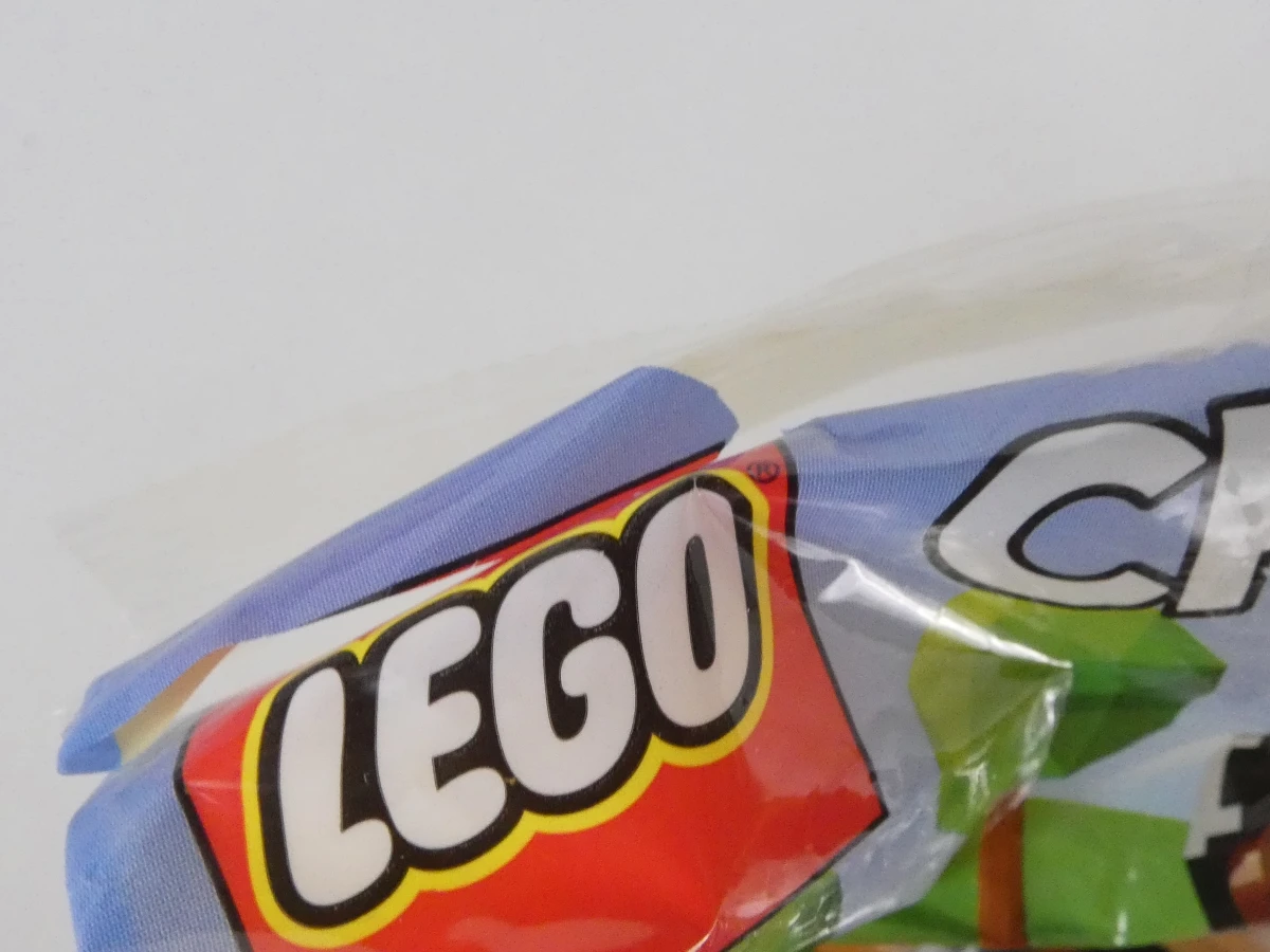 Lot LEGO & LEGO Technic Bulk – Inclusief Boekjes