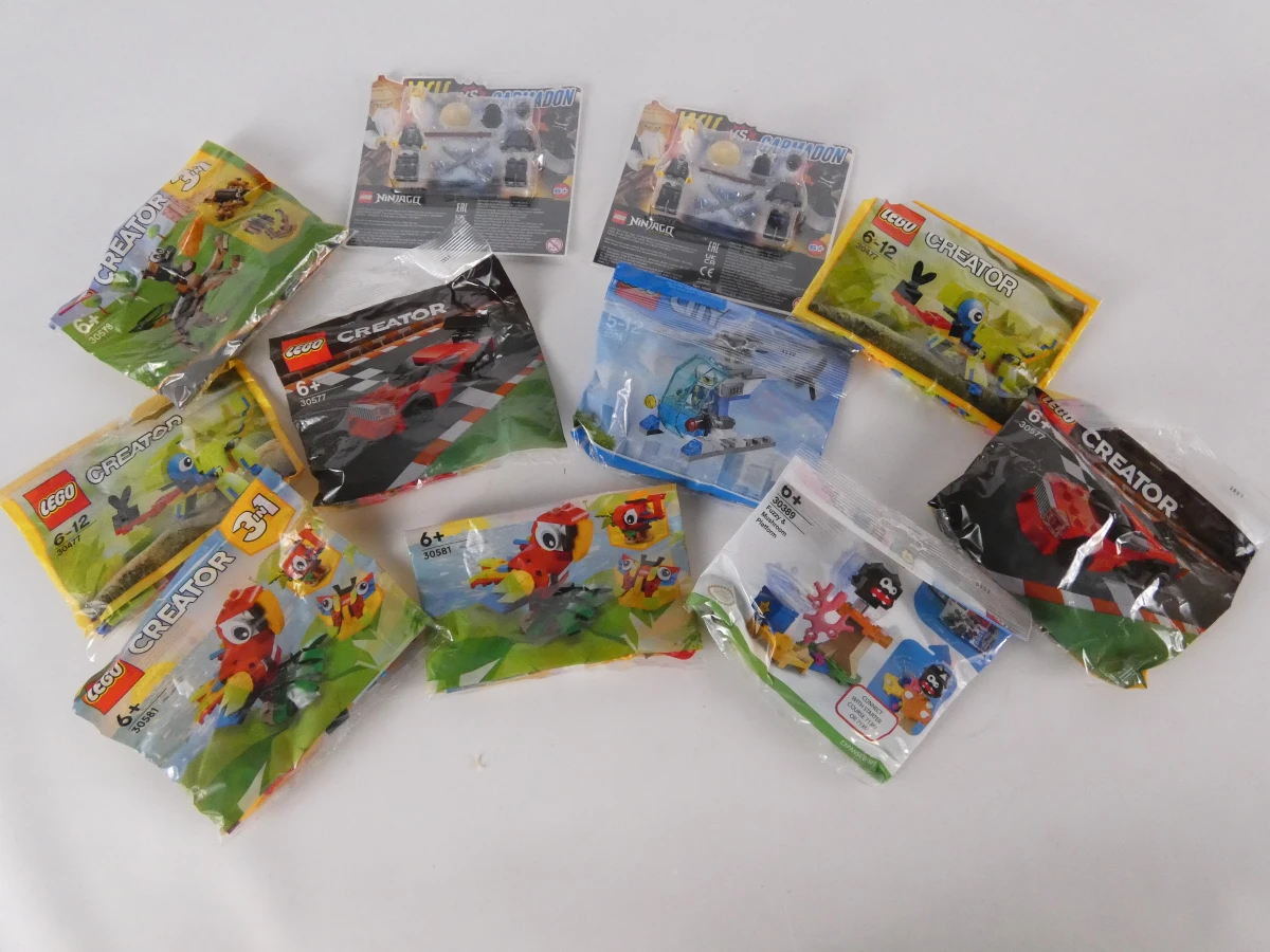 Lot LEGO & LEGO Technic Bulk – Inclusief Boekjes