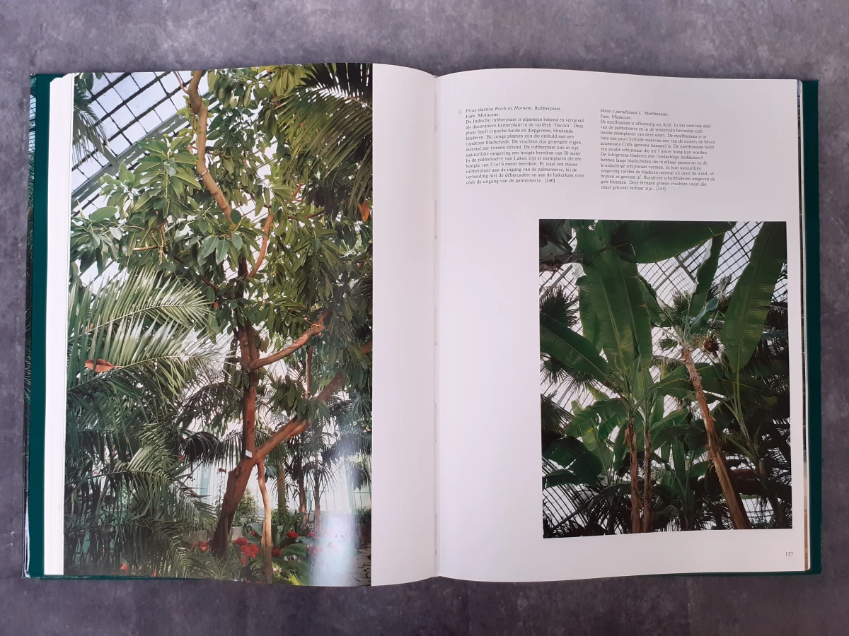 Boek: De Koninklijke Serres van Laken - foto 8