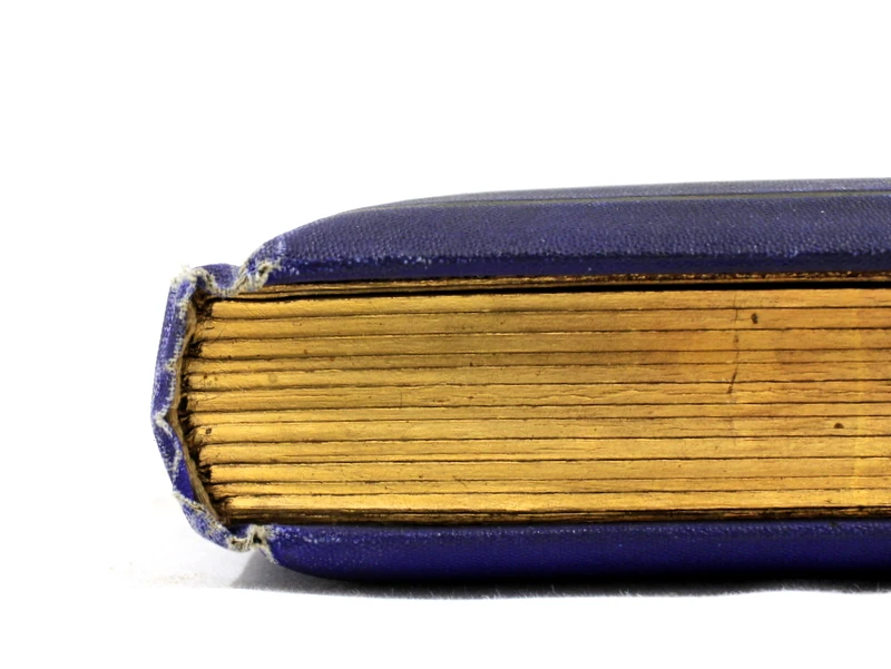 Religieus prentenalbum 'Album Religieux' – Frankrijk/België, ca. 1900–1915 (46 prenten)