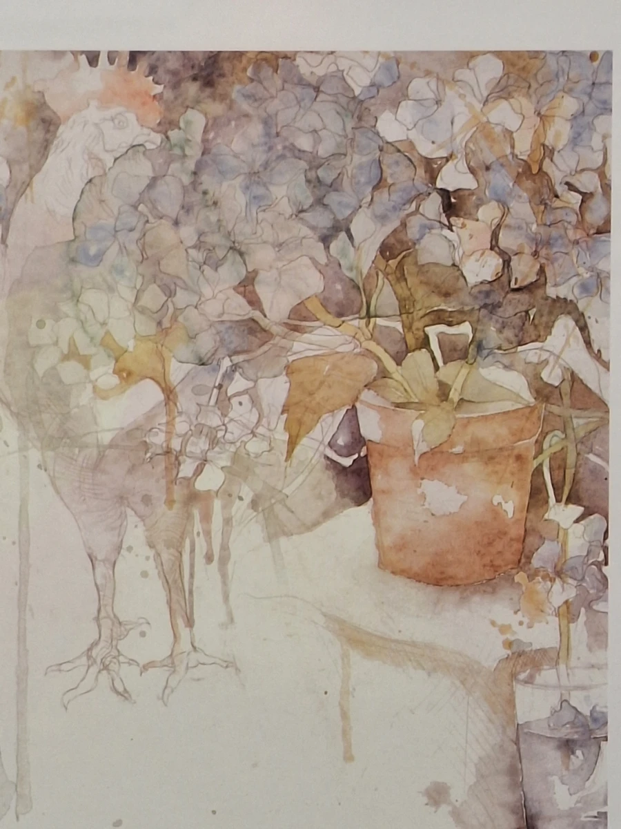 "Wer ist Hortensia?" - Kunstprint naar aquarel - Dagmar Mezřický (°1944)