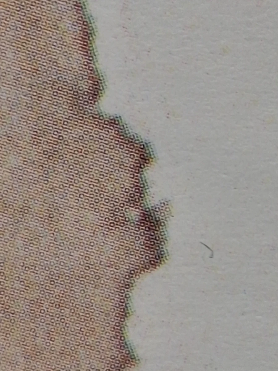 "Wer ist Hortensia?" - Kunstprint naar aquarel - Dagmar Mezřický (°1944)