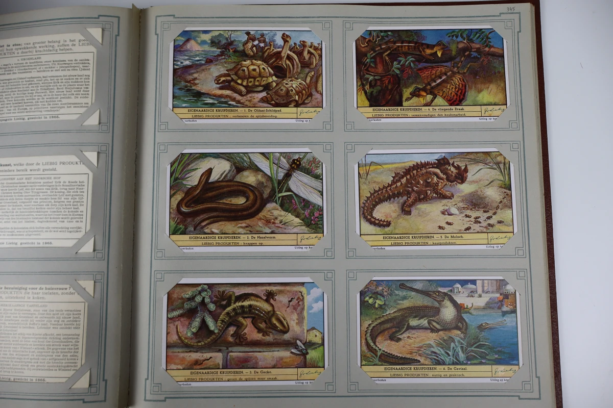 Set van 7 vintage Liebig chromo-verzamelalbums