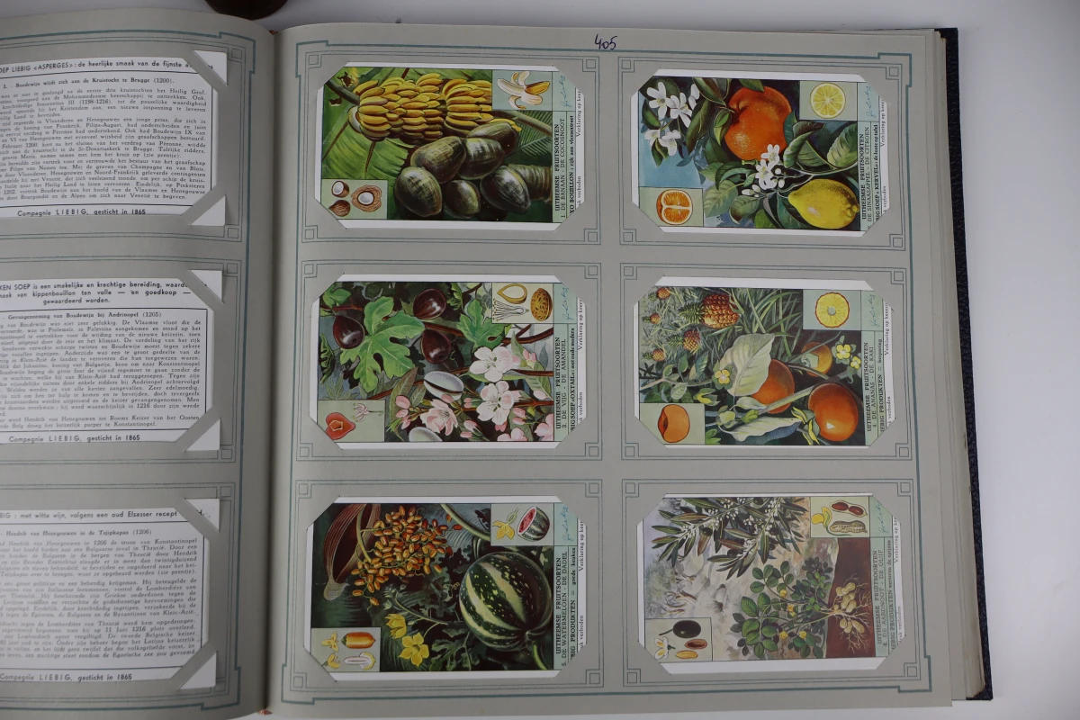 Set van 7 vintage Liebig chromo-verzamelalbums