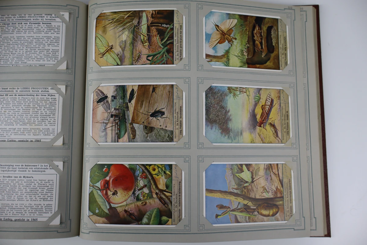 Set van 7 vintage Liebig chromo-verzamelalbums