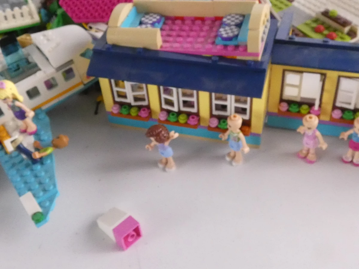Grote verzameling LEGO Friends bouwstenen en figuren