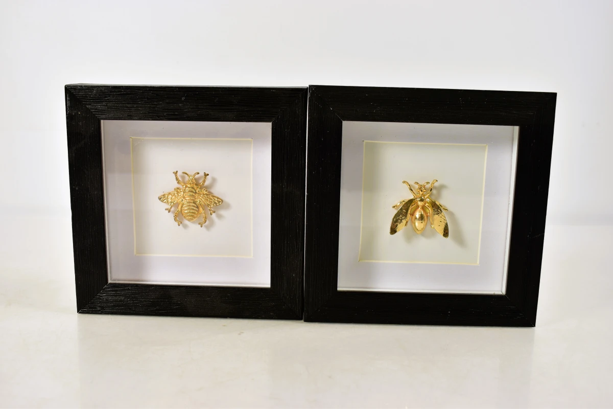 Set van 2 ingelijste decoratieve gouden insecten in 3D-lijst