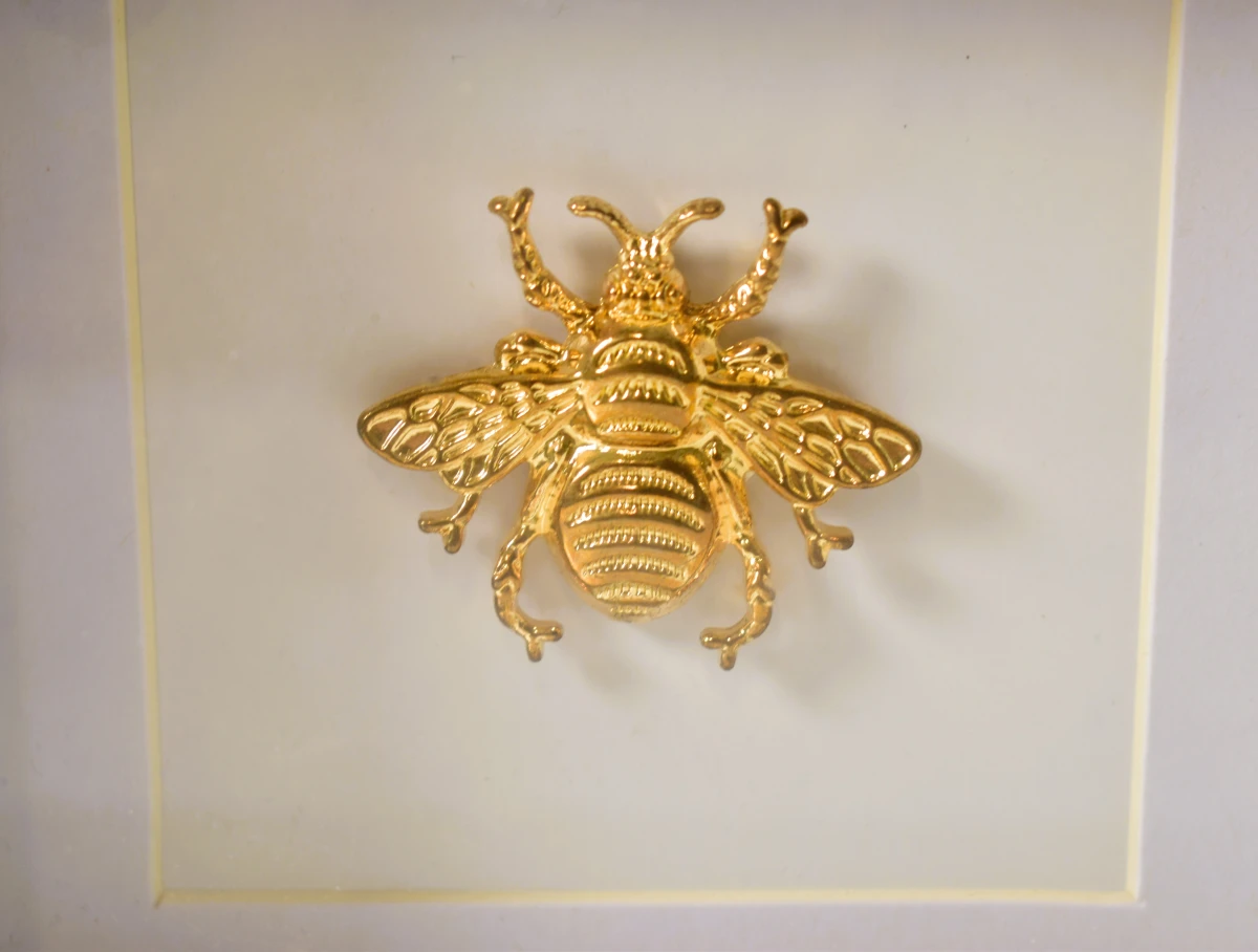 Set van 2 ingelijste decoratieve gouden insecten in 3D-lijst