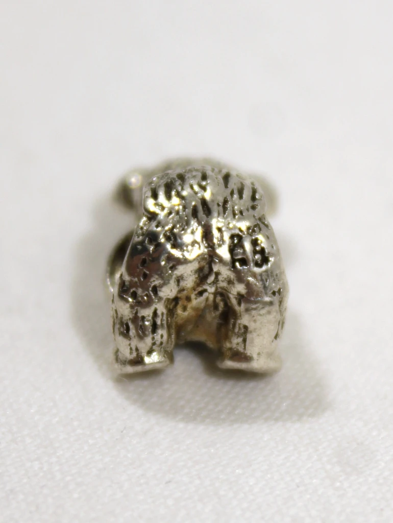 Set 925 Zilveren Pandora Bedeltjes