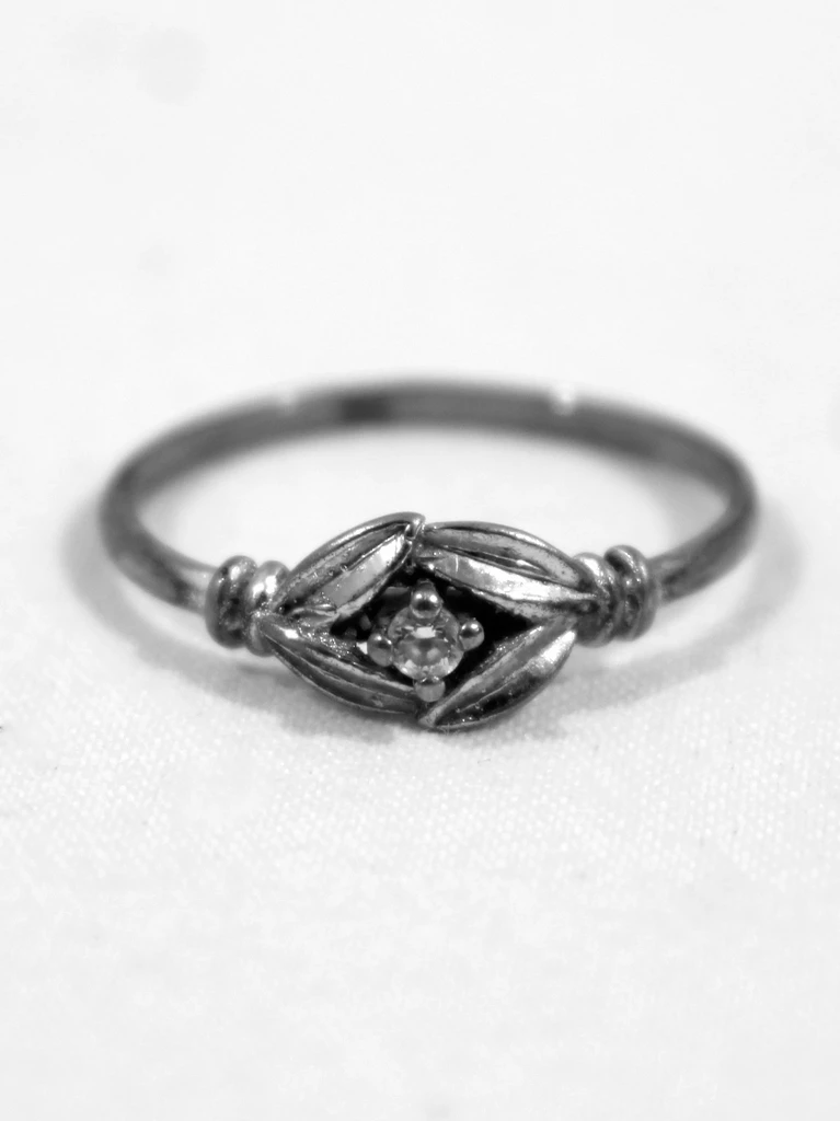 Florale 925 Zilveren Ring