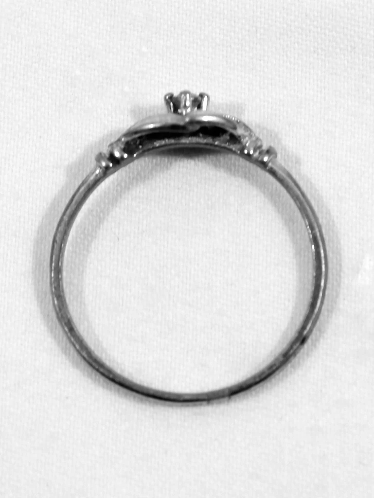 Florale 925 Zilveren Ring
