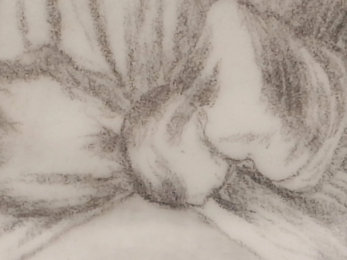 Handgetekend portret van jong meisje - potloodtekening in vergulde lijst