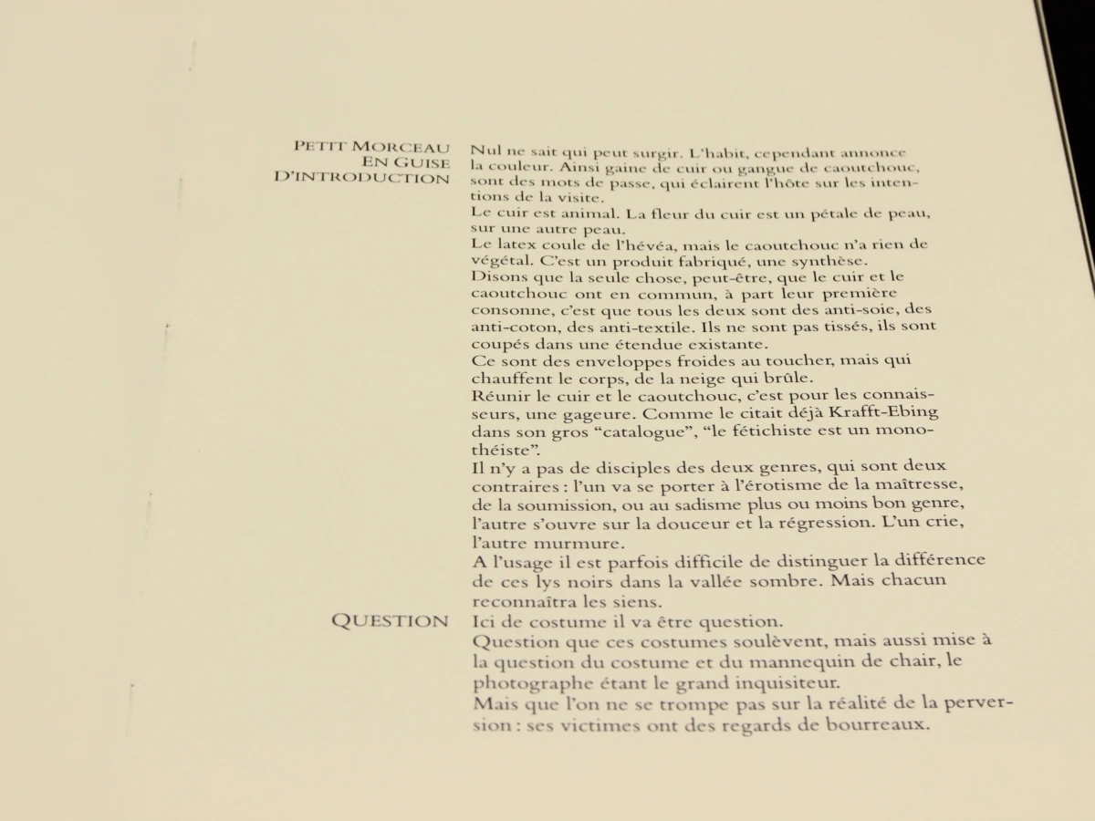 Catalogue- André Berg Patrice Caumon