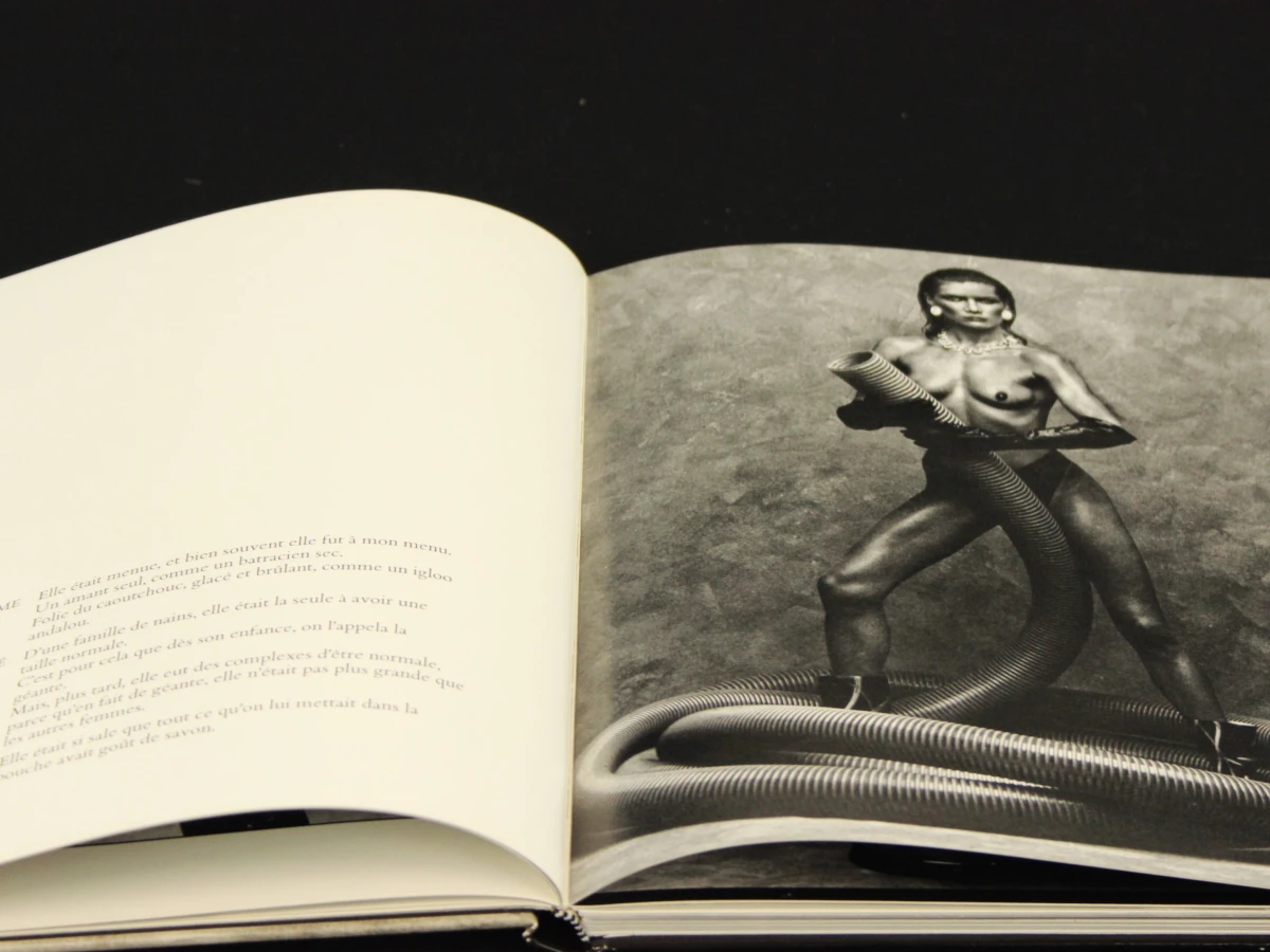 Catalogue- André Berg Patrice Caumon