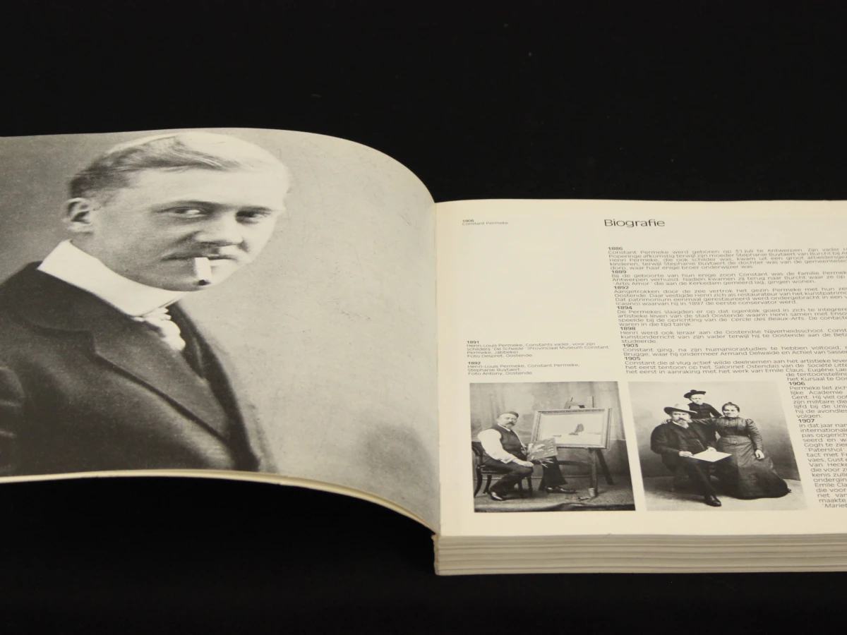 Permeke - Retrospectieve kunstboek van Willy Van den Bussche