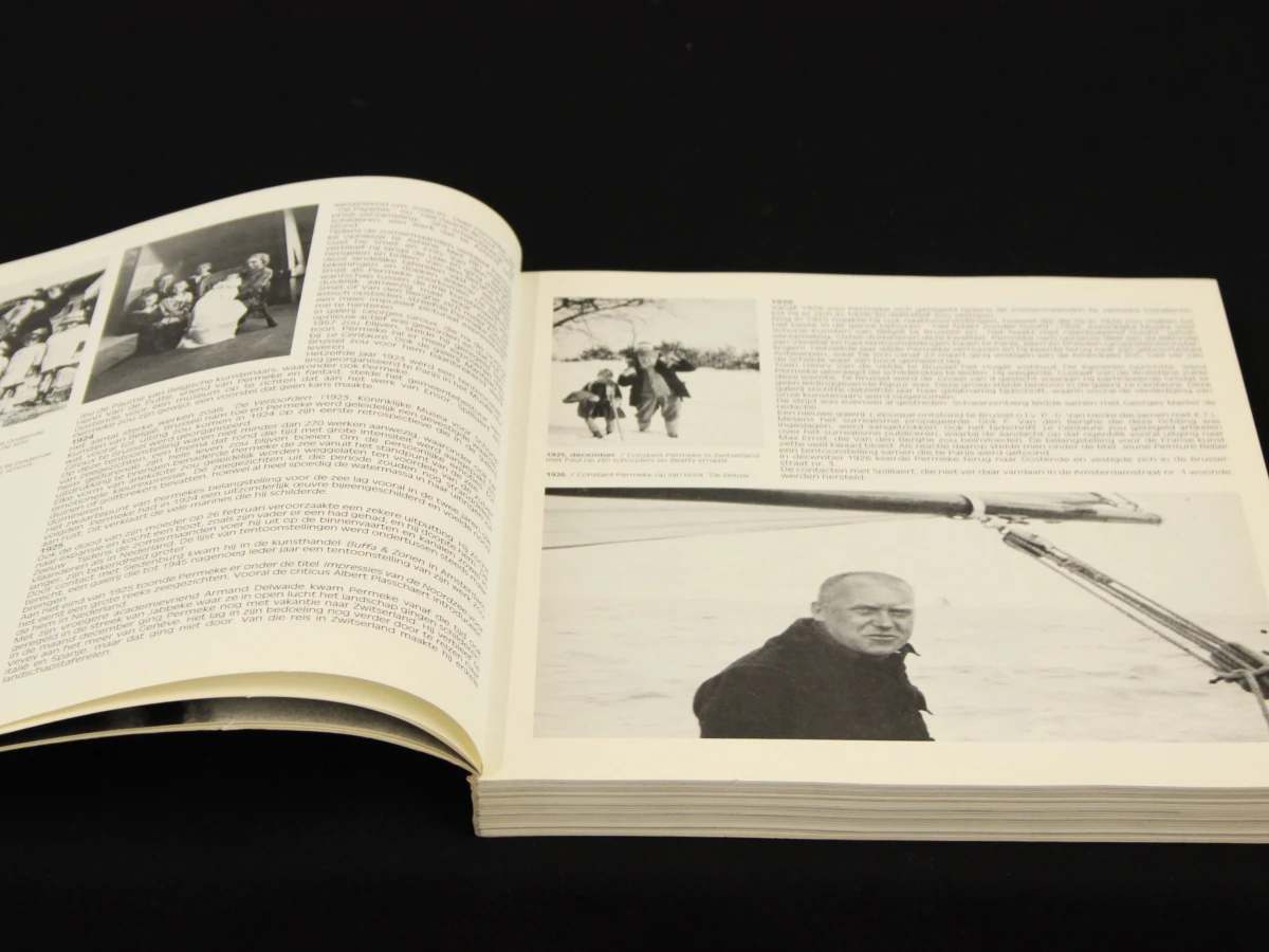 Permeke - Retrospectieve kunstboek van Willy Van den Bussche