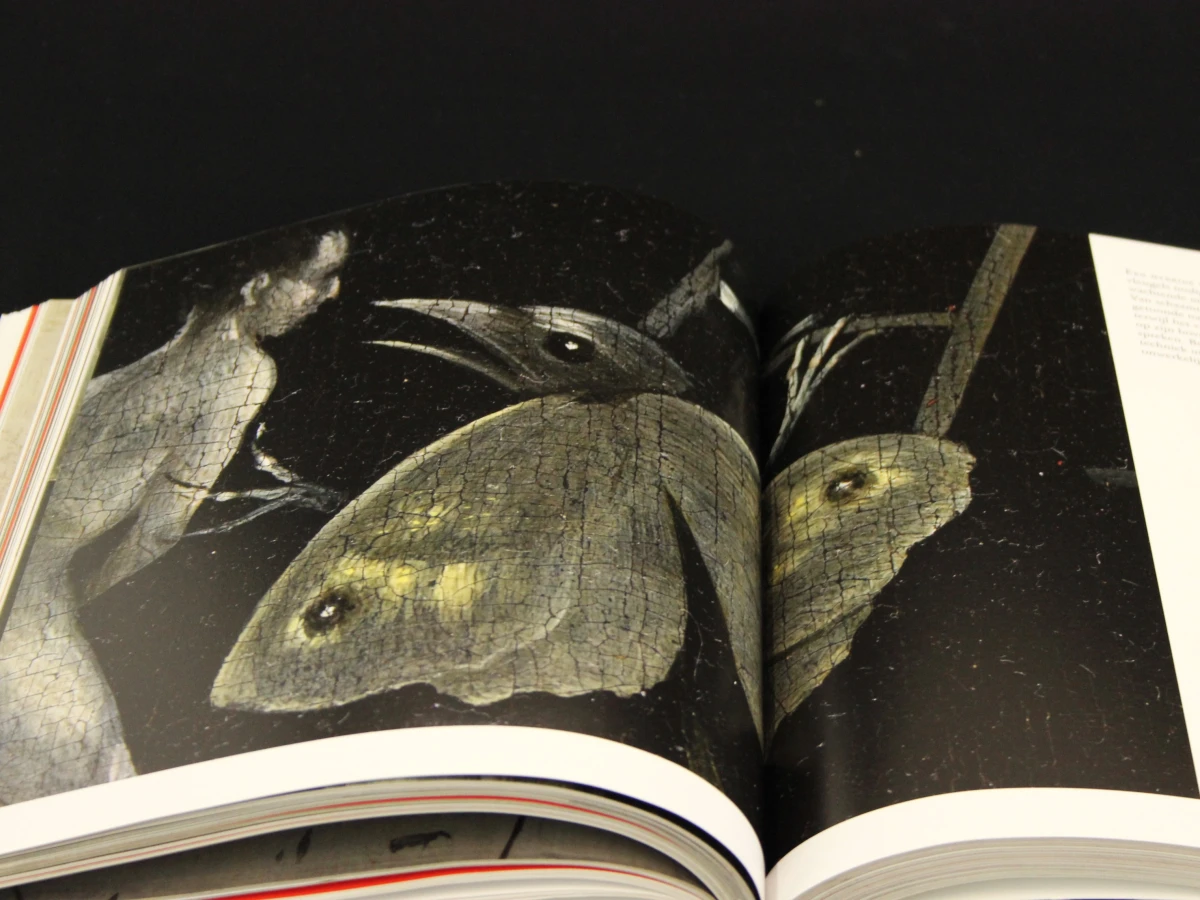Bosch in detail - Till Hoger Borchert