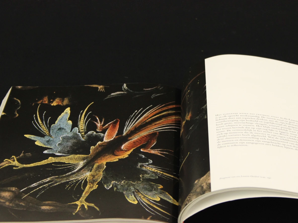 Bosch in detail - Till Hoger Borchert