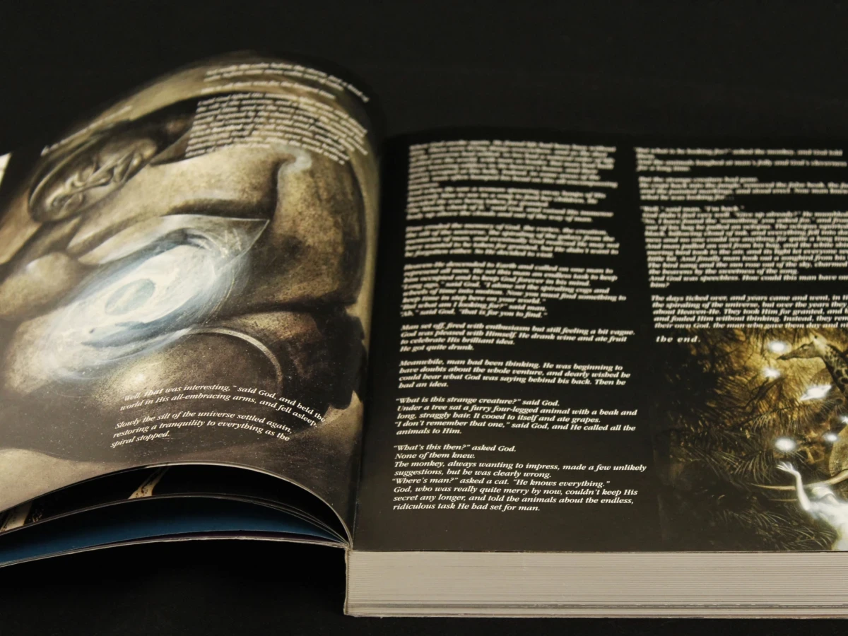 graphic novel 'Cages' van Dave McKean