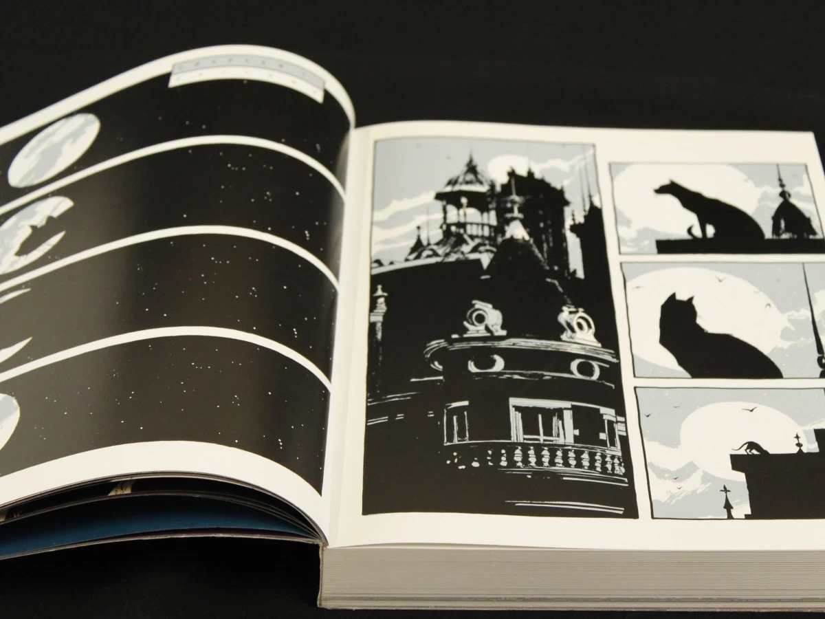graphic novel 'Cages' van Dave McKean