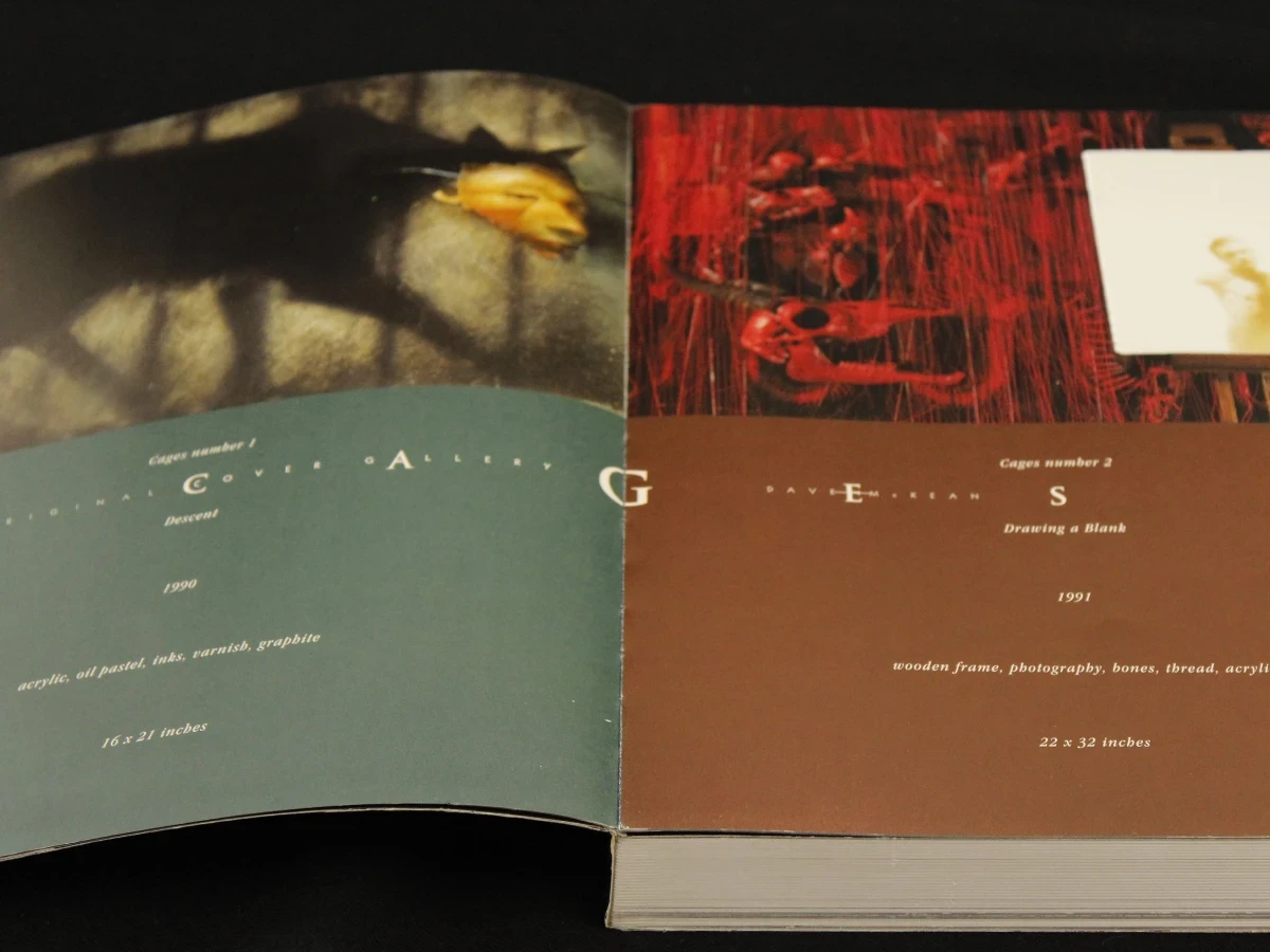 graphic novel 'Cages' van Dave McKean
