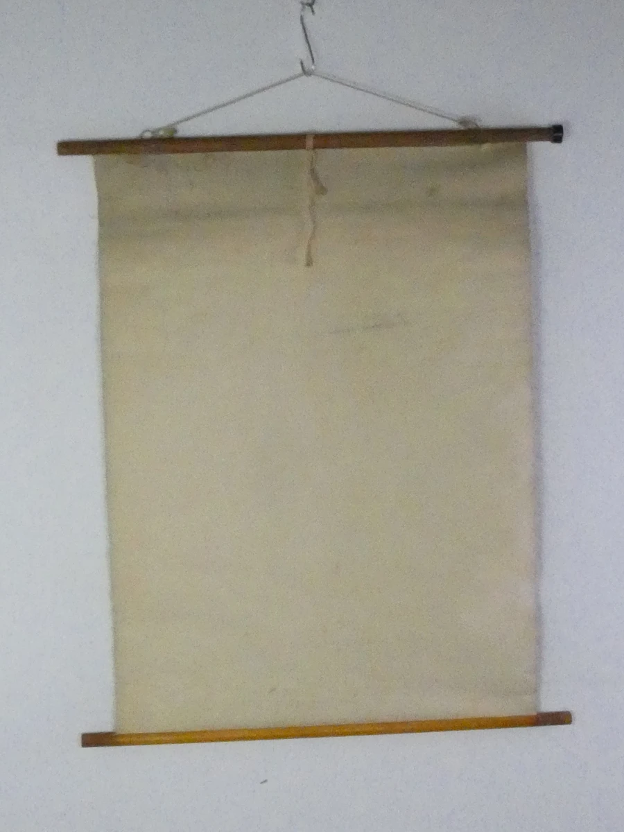 Vintage botanische schoolplaat van Jung Koch Quentell