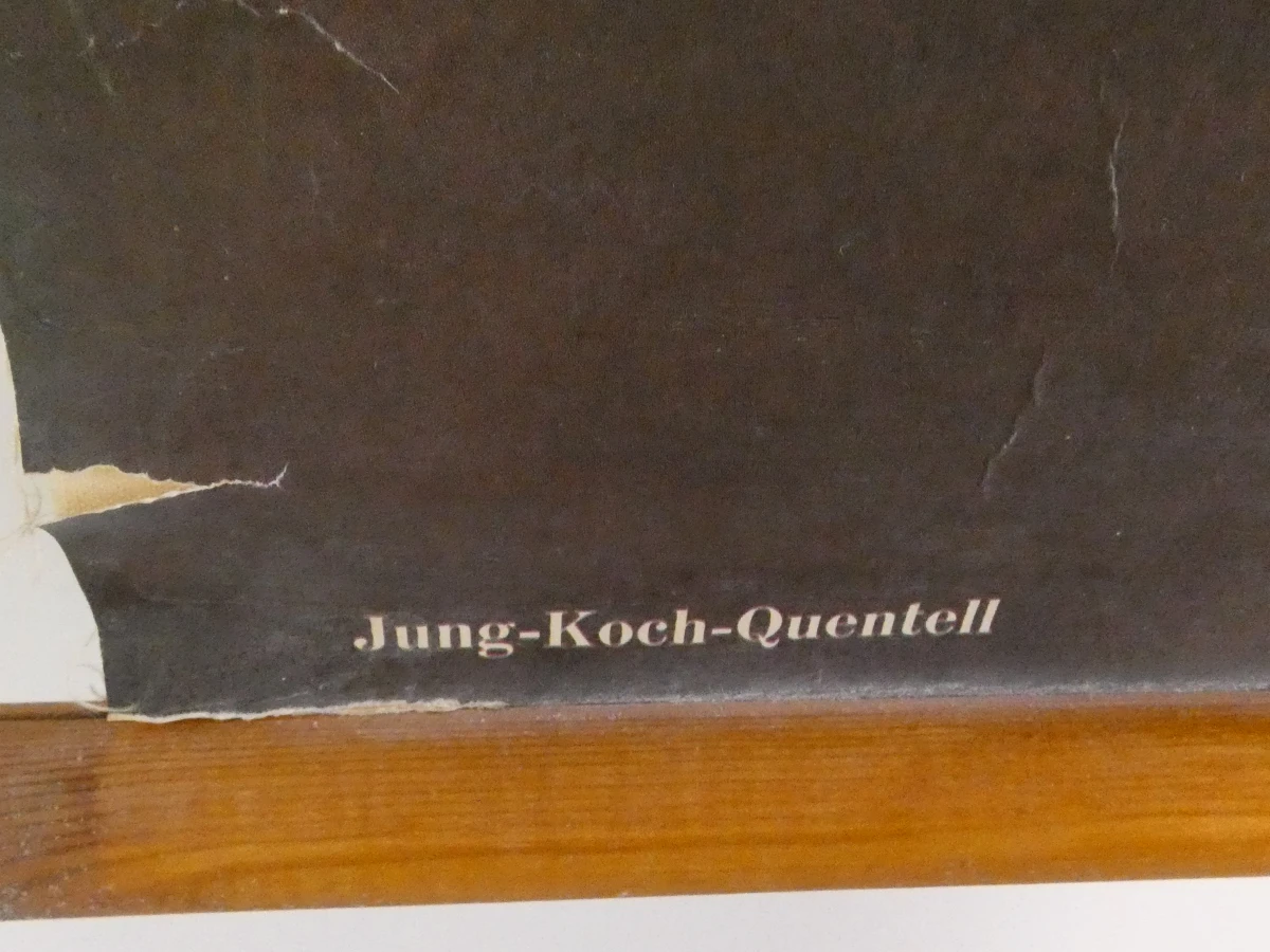 Vintage botanische schoolplaat van Jung Koch Quentell
