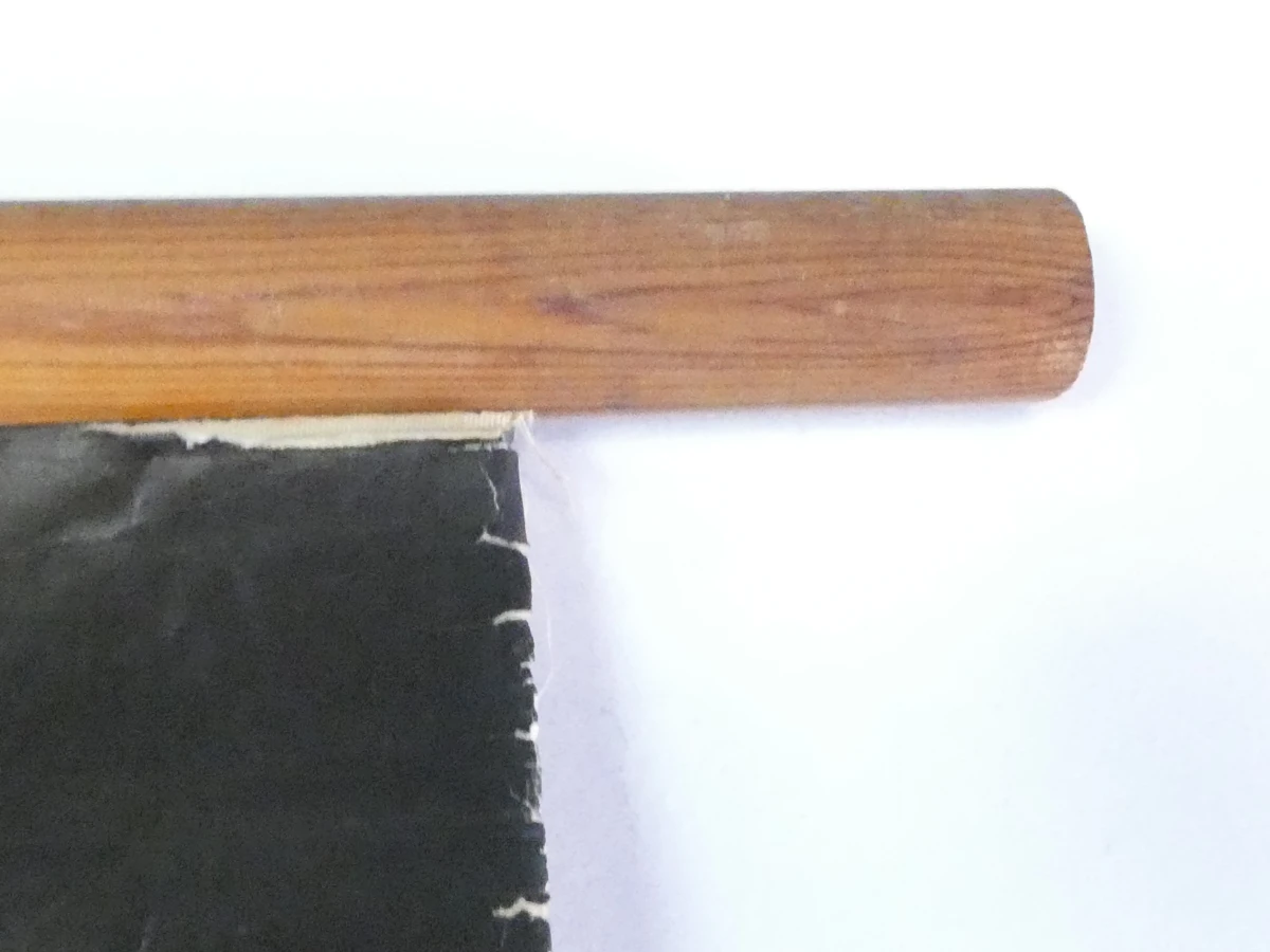 Vintage botanische schoolplaat van Jung Koch Quentell