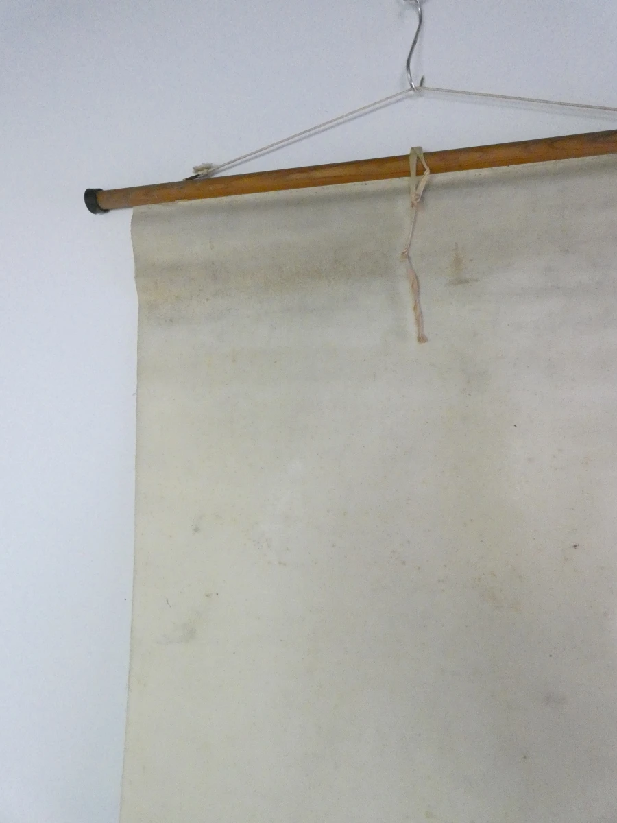 Vintage botanische schoolkaart van de hazelaar