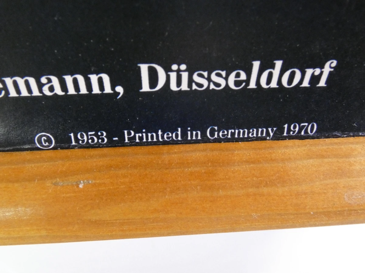Vintage botanische schoolkaart van de hazelaar